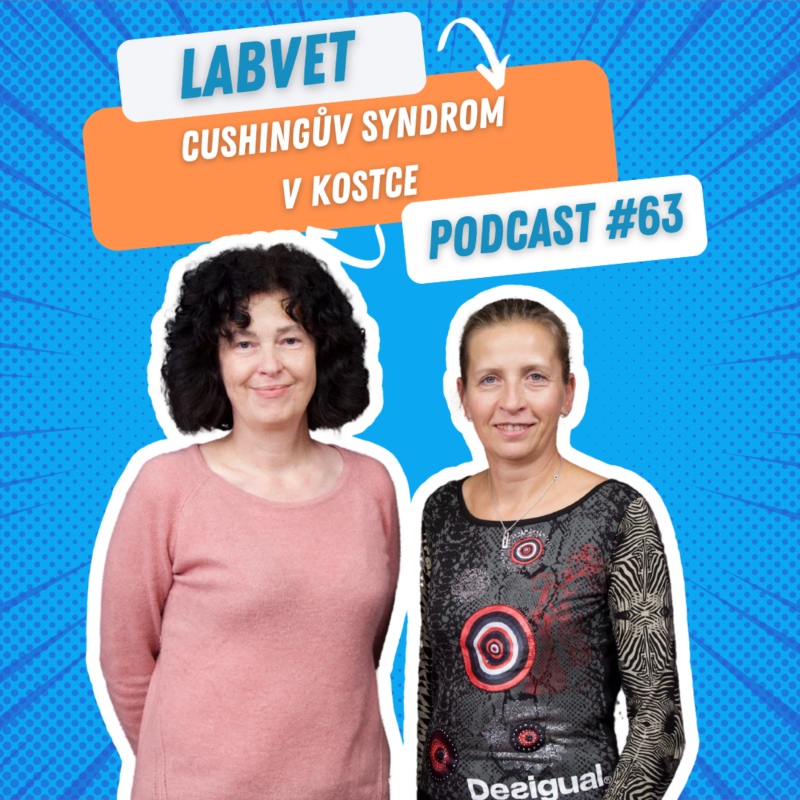 Obrázek epizody LABVET Podcast #63 - Cushingův syndrom v kostce