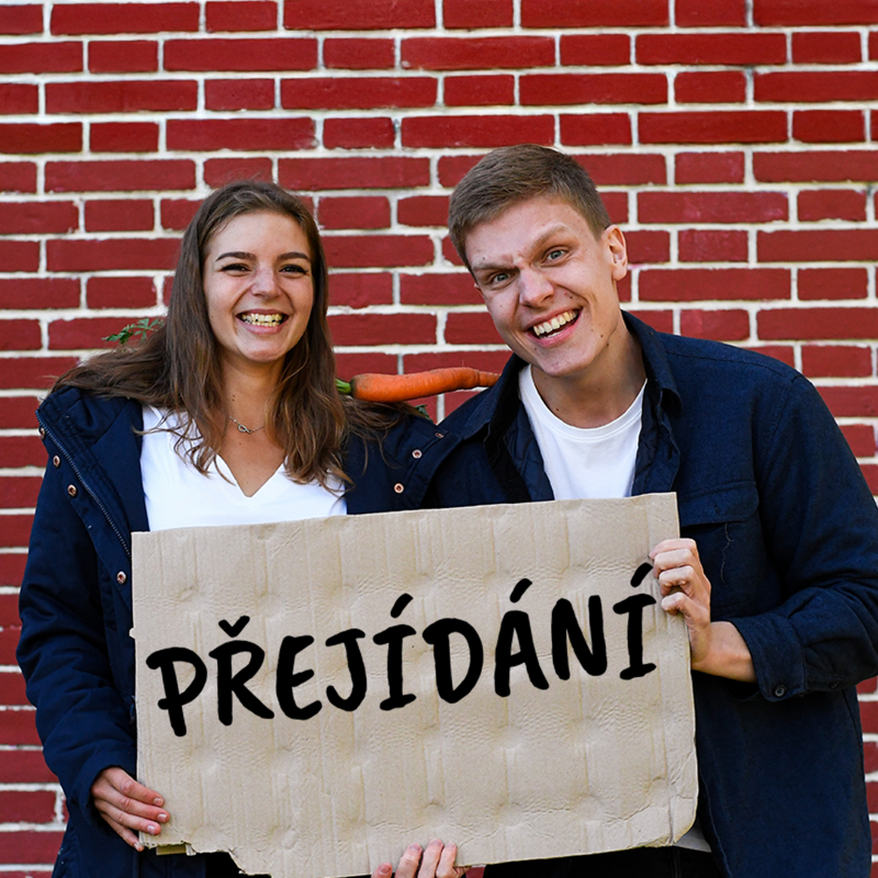 Obrázek epizody #26 PŘEJÍDÁNÍ - proč to nemusí být slabá vůle