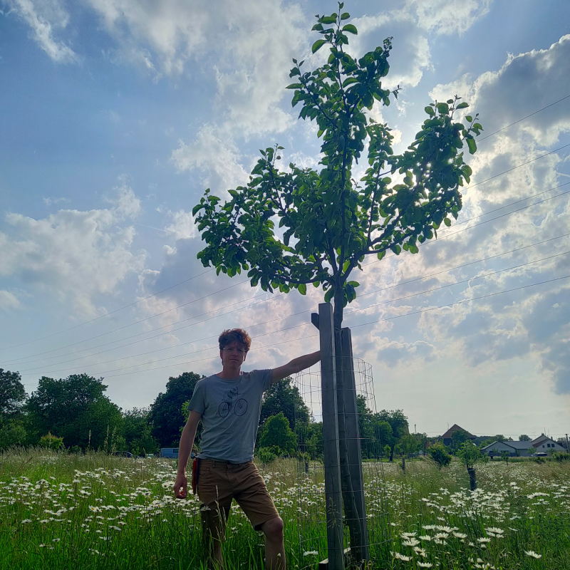 Obrázek epizody #17: Výsadbou to začíná! Bez následné péče to nemá smysl.