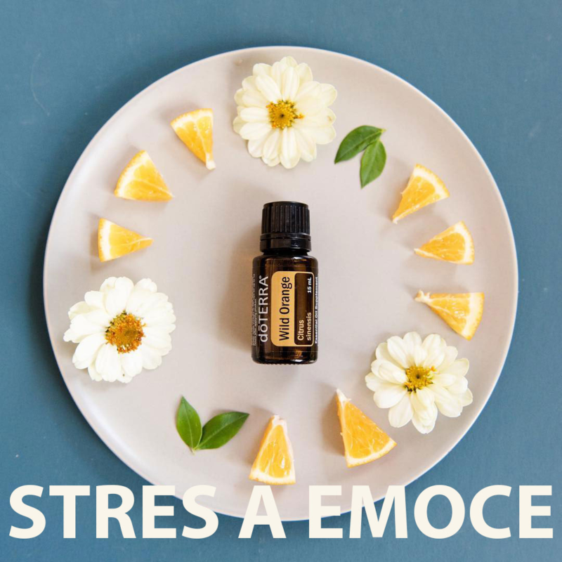 Obrázek epizody Vůně Klidu: Esenciální Oleje proti Stresu a pro Emoční Rovnováhu 🌈🍃