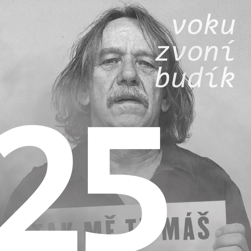 Obrázek epizody Umělce spojujeme s názorem, ty proradný Nohavico