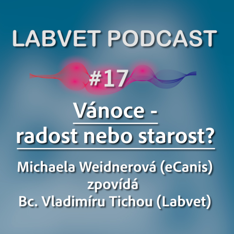 Obrázek epizody Vánoce – radost nebo starost?