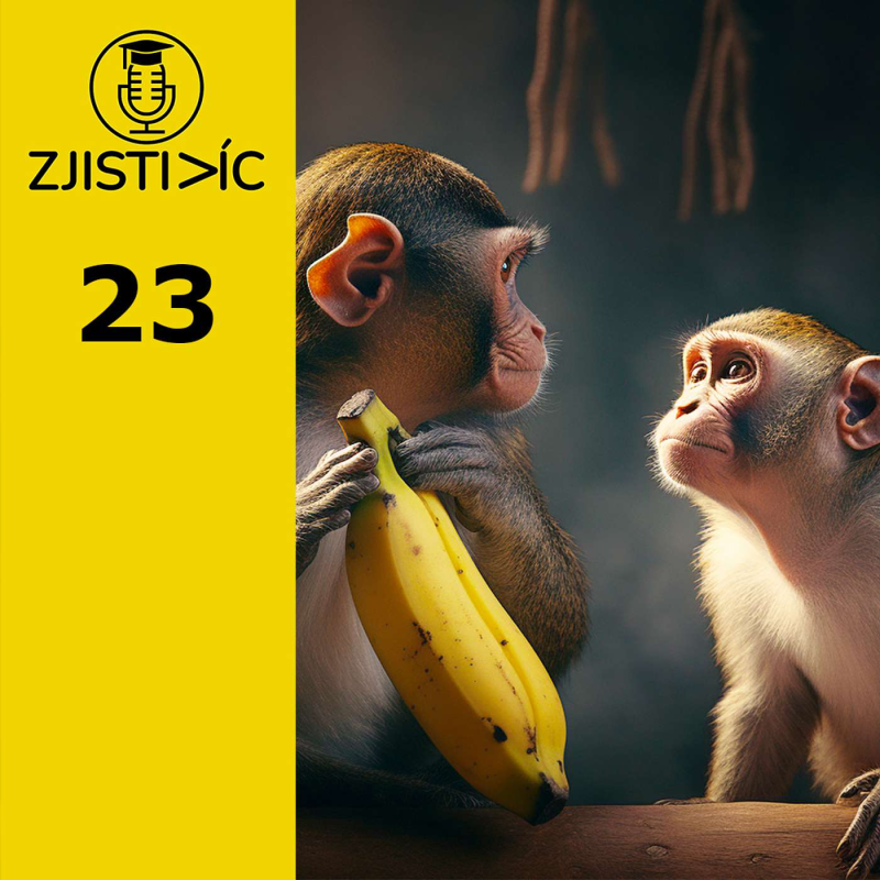 Obrázek epizody 23 - Kognitivní zkreslení - zrádné chyby v našem myšlení