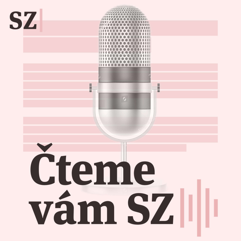 Obrázek epizody Náměstek ministra rezignoval. Domluvil schůzku Rakušana se stíhaným podnikatelem