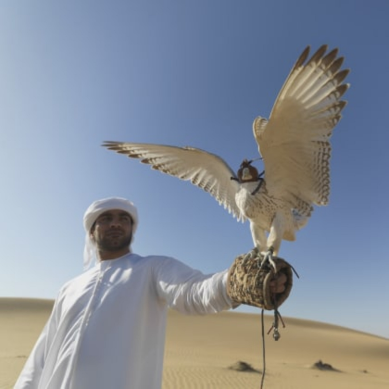 Obrázek epizody Prima SVĚT 2021 (3)