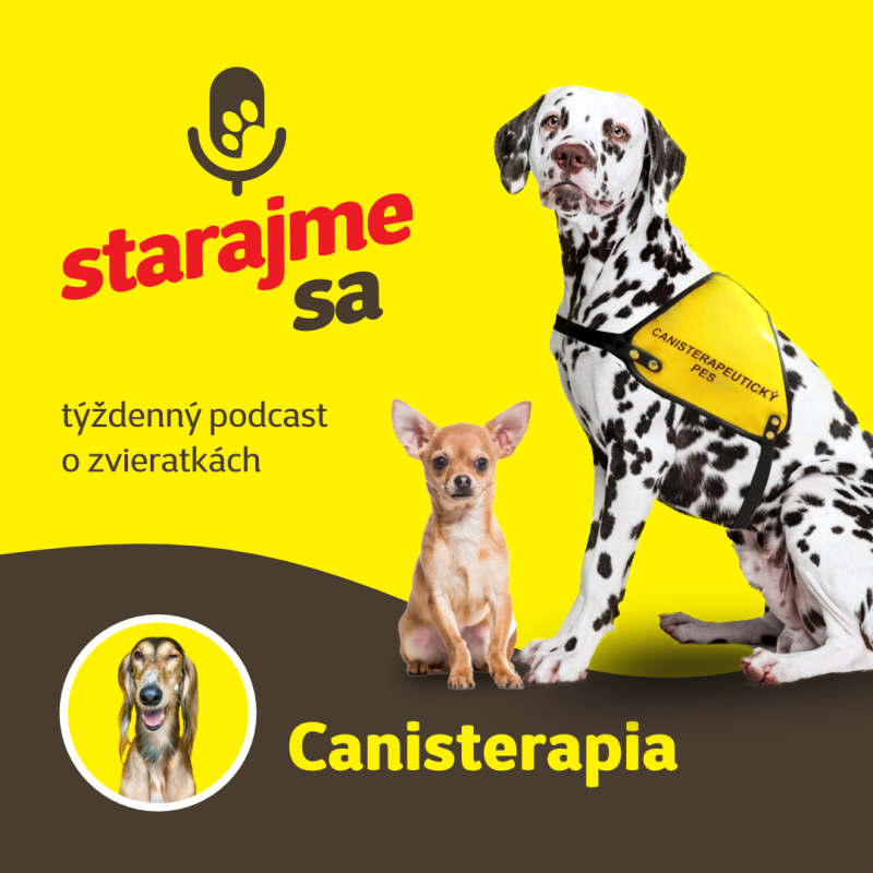Obrázek epizody Psy: Canisterapia