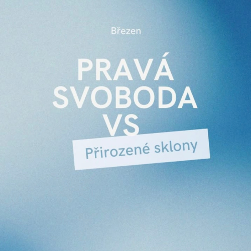 Obrázek epizody Problém jazyku - Viki Huňátová 30.3.2025 CBH Chomutov
