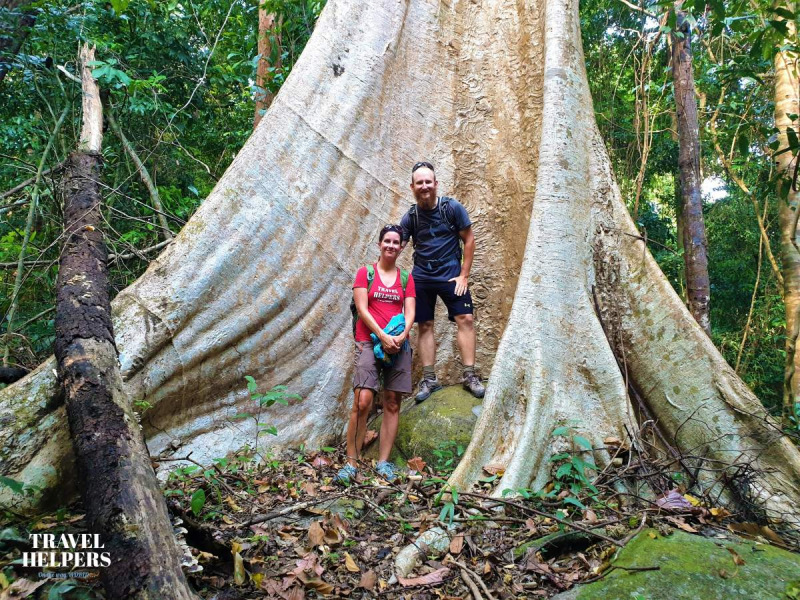 Obrázek epizody Travel Helpers: Jak přežít na pustém ostrově? Poslechněte si rozhovor o bezpečném a zodpovědném cestování