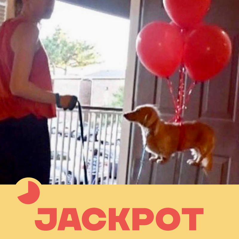 Obrázek epizody JACKPOT 81