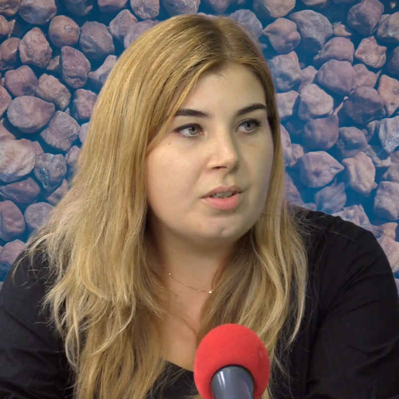 Obrázek epizody Cizrna a perspektivy jejího pěstování