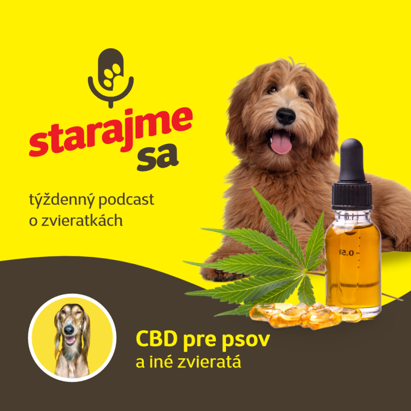 Obrázek epizody Psy: CBD pre psov a iné zvieratá