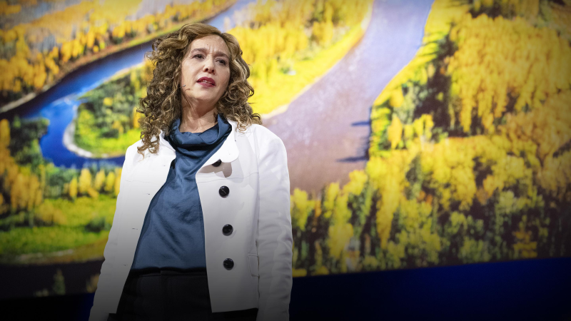 Obrázek epizody The bad math of the fossil fuel industry | Tzeporah Berman