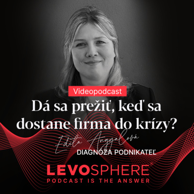 Obrázek epizody #183 VIDEOPODCAST: Dá sa prežiť, keď sa dostane firma do krízy?
