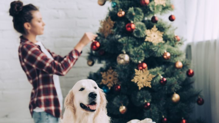 Obrázek epizody HOROSKOPY: Panny, dnes se dočkáte nějakého překvapení. Uvidíte, co přinese doba po setmění