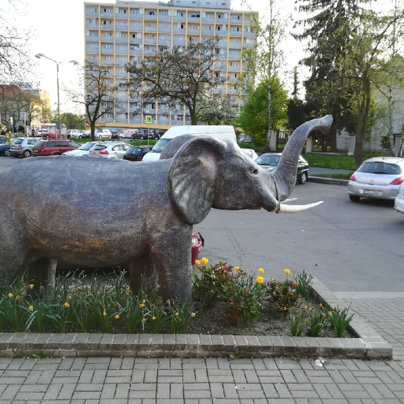 Obrázek epizody Povídání o slonech v Čechách a na Moravě