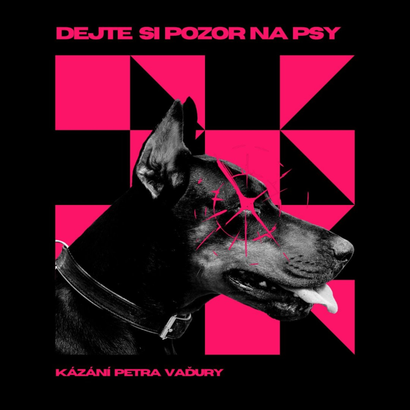 Obrázek epizody Dejte si pozor na psy