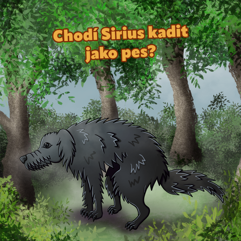 Obrázek epizody Chodí Sirius kadit jako pes? (S3E19-1)