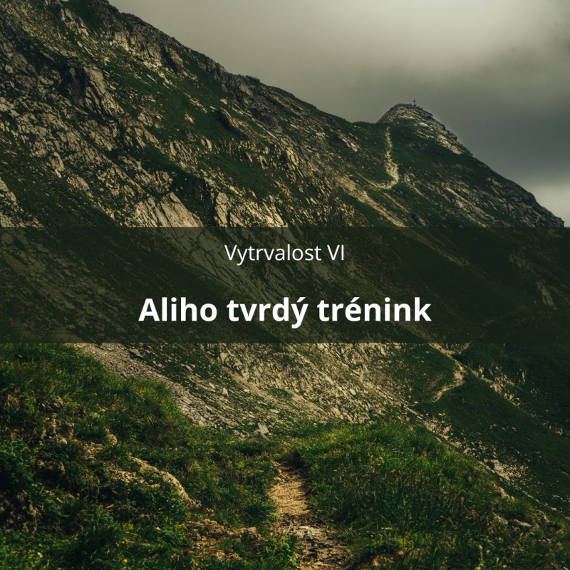 Obrázek epizody 64 – Vytrvalost VI – Aliho tvrdý trénink