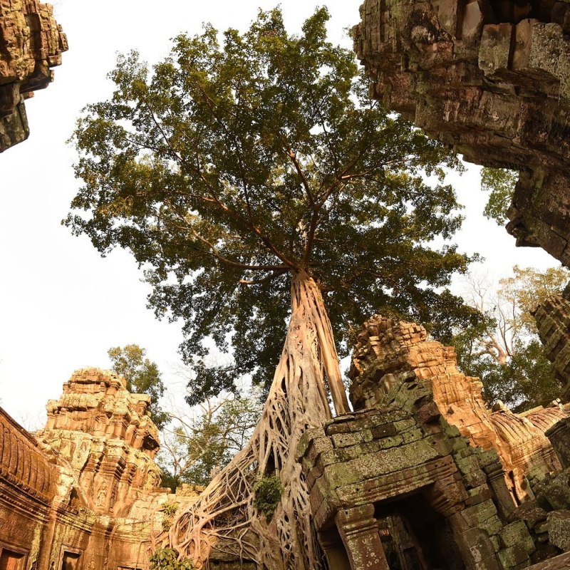 Obrázek epizody Ešus (3.8.2020) [Topi a cesta jihovýchodní Asií]