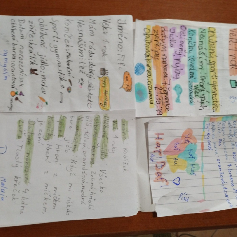 Obrázek epizody Velikonoce 1.díl - Zvířecí útulek