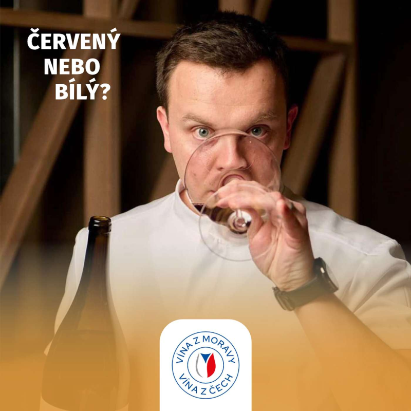 Obrázek epizody 046: Zdeněk Oudes o cestě k Michelin Sommelier Award a síle lokálních vín