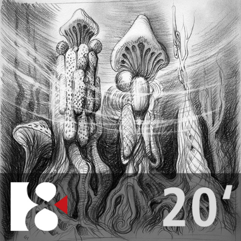 Obrázek epizody Péče o společný domov | Ve 20 minutách