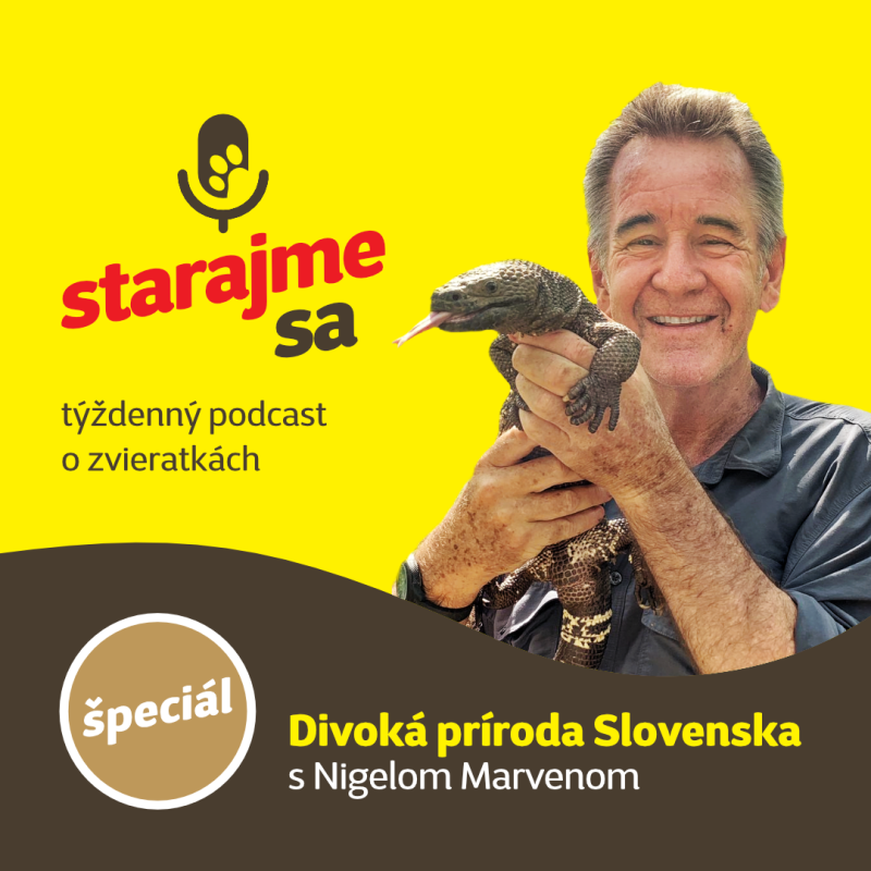 Obrázek epizody Špeciál: Divoká príroda Slovenska s Nigelom Marvenom