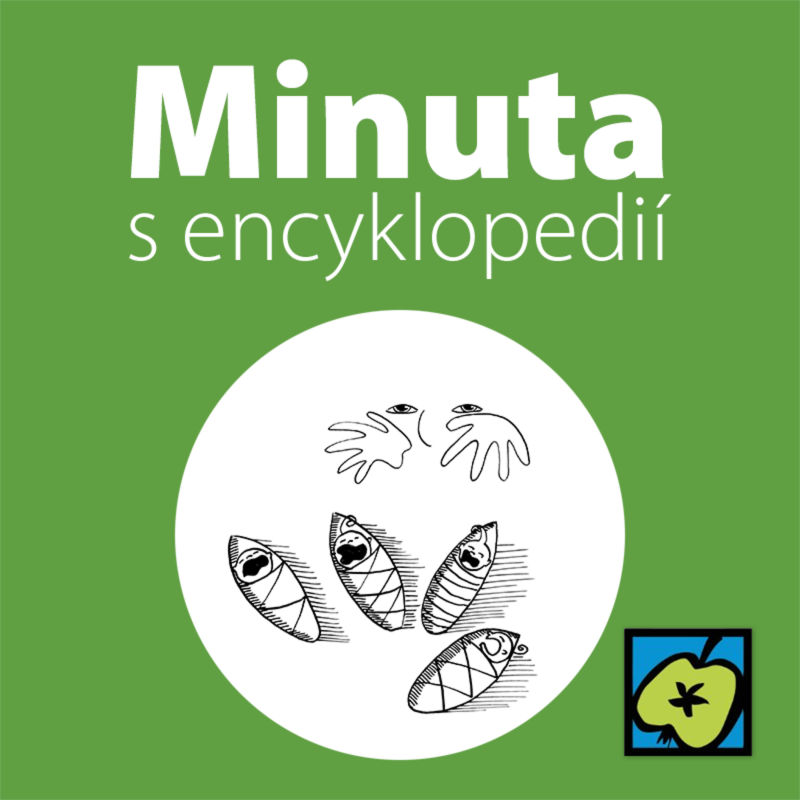 Obrázek epizody Král Herodes