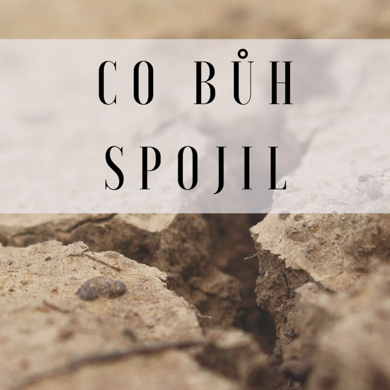 Obrázek epizody Díl čtvrtý: Katolický rozvod – ano nebo ne?