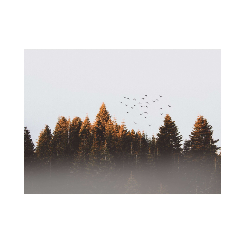 Obrázek epizody Soud, právo, napadení, život na ulici