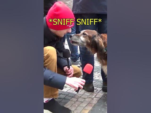 Obrázek epizody NEJLEPŠÍ rozhovor z demonstrace "ČESKO PROTI BÍDĚ"