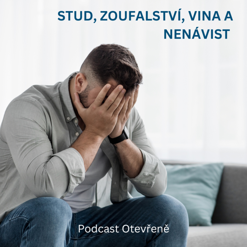 Obrázek epizody #25 - O zoufalství a studu, vině a nenávisti