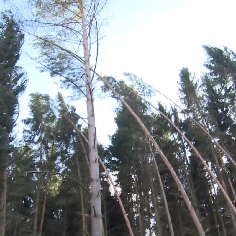 Obrázek epizody Krimi zprávy (922)