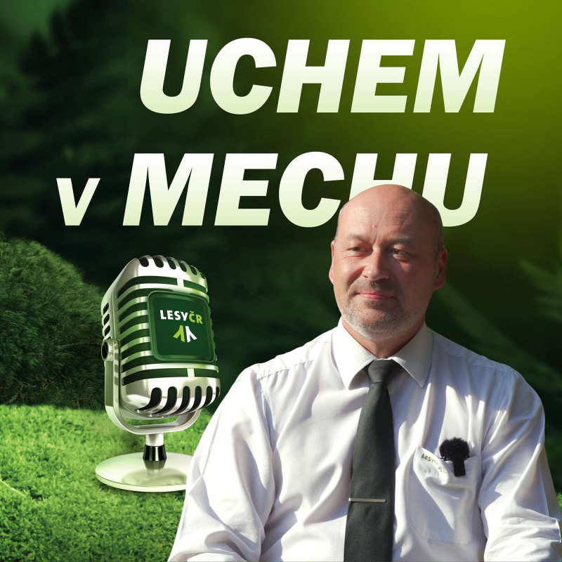 Obrázek epizody S generálním ředitelem o významu dřeva a Dnu lesů nové generace