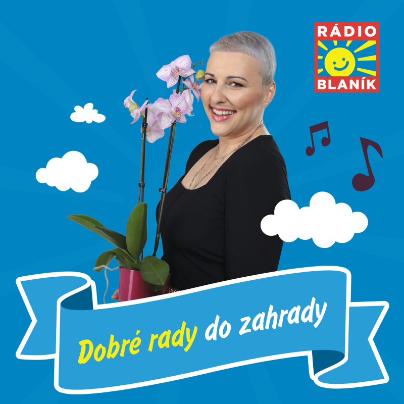 Obrázek epizody DOBRÉ RADY DO ZAHRADY NA RÁDIU BLANÍK- Pokojové rostliny