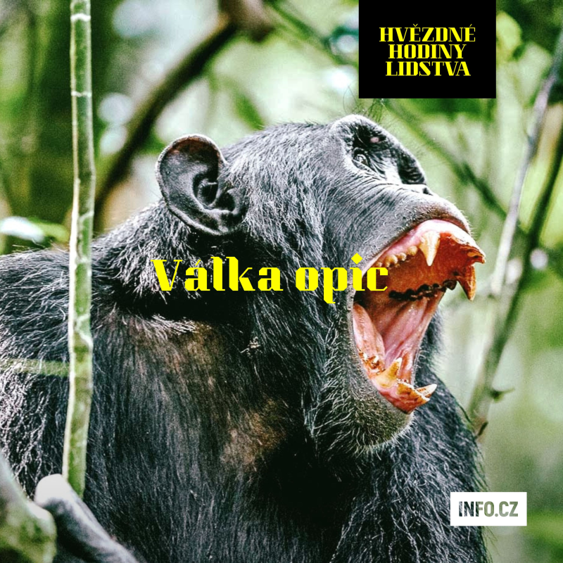 Obrázek epizody Brutální válka šimpanzů a Pán much ukazují, že zlo je v člověku pevně ukotvené