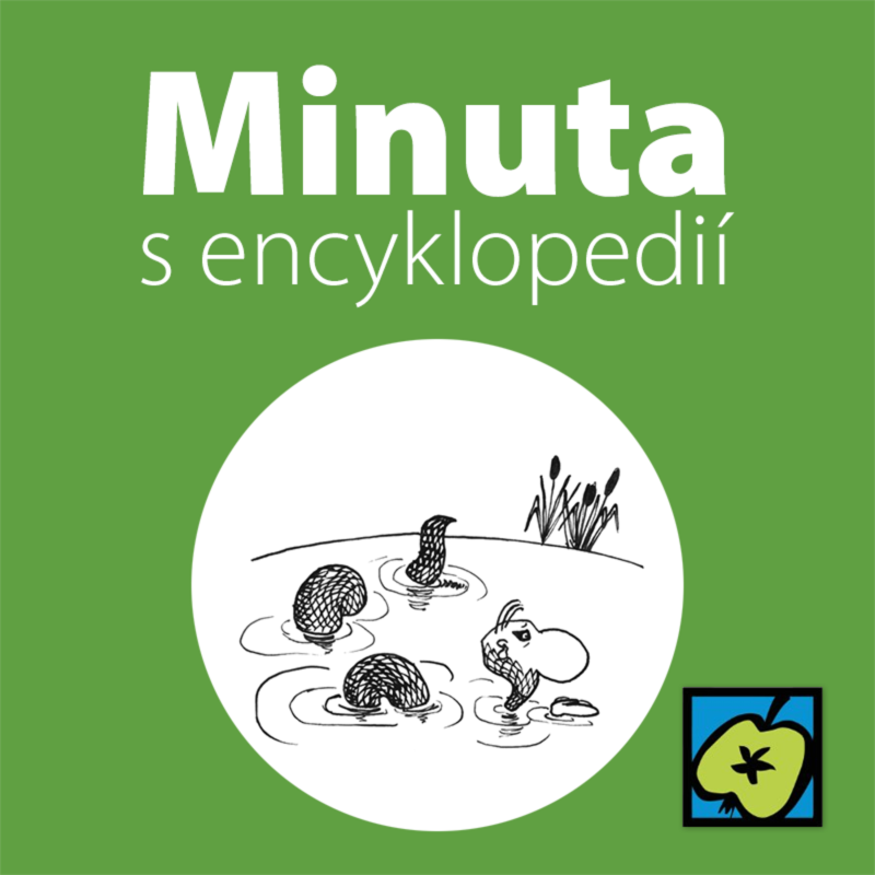 Obrázek epizody Lochneská příšera