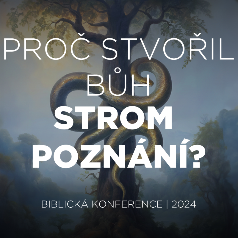 Obrázek epizody #Q&A 01 Proč stvořil Bůh strom poznání dobrého a zlého? | Biblická konference 2024