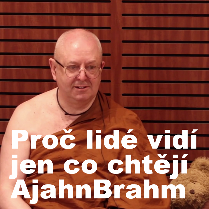 Obrázek epizody Proč lidé vidí jen co chtějí vidět (a nevidí pravdu) | Ajahn Brahm | 15.11.2021 | Théraváda