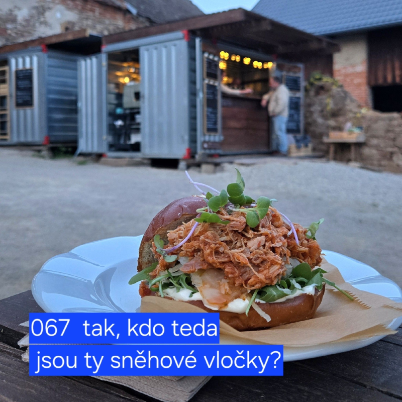 Obrázek epizody 067 tak, kdo teda jsou ty sněhové vločky?
