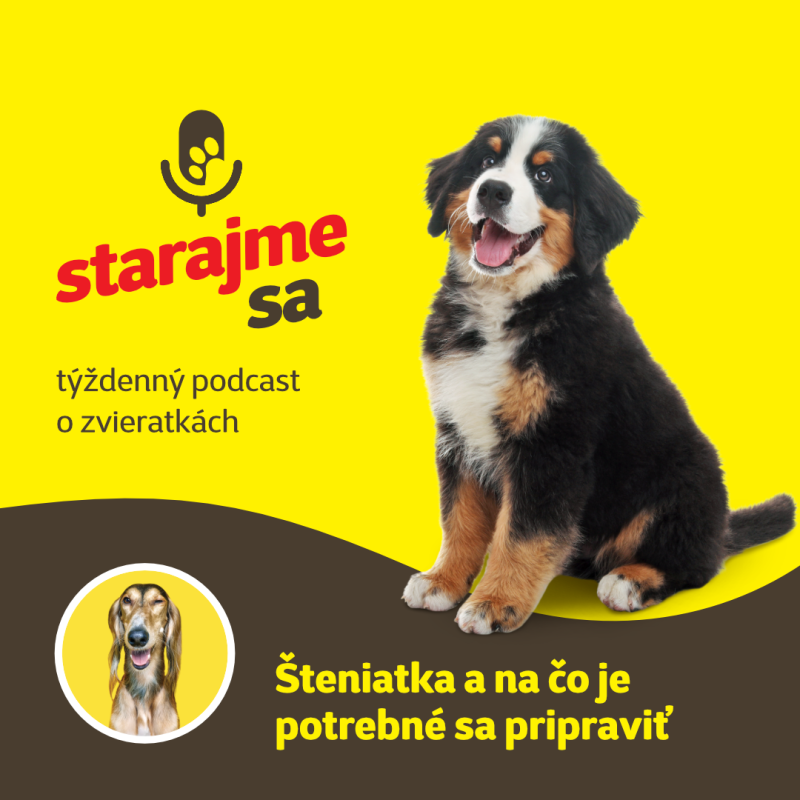 Obrázek epizody Psy: Šteniatka a na čo je potrebné sa pripraviť