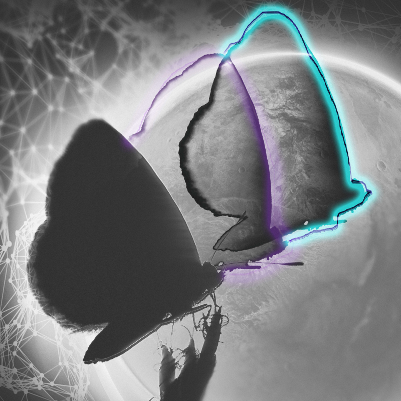 Obrázek epizody Co nás čeká po smrti?