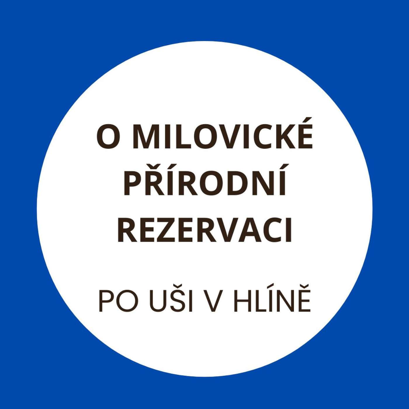 Obrázek epizody Zubři, divocí koně a pratuři, to je život v Milovické rezervaci