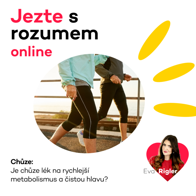 Obrázek epizody Chůze - Je chůze lék na rychlejší metabolismus a čistou hlavu?