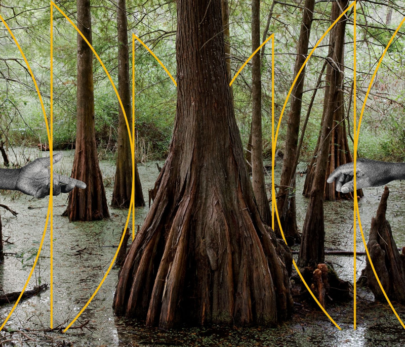 Obrázek epizody Family People