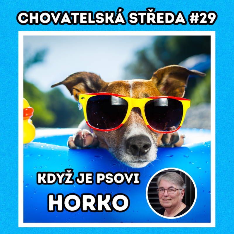 Obrázek epizody 🐶 Když je PSOVI HORKO 🐶 | Chovatelská středa #29
