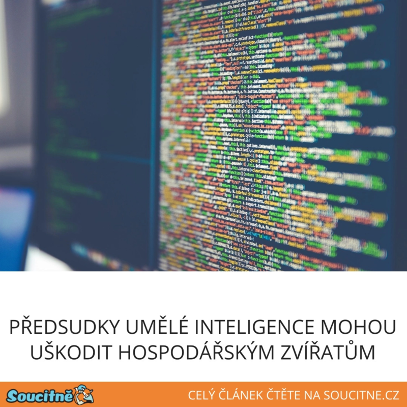Obrázek epizody Předsudky umělé inteligence mohou uškodit hospodářským zvířatům