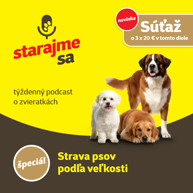 Obrázek epizody Špeciál: Strava psov podľa veľkosti