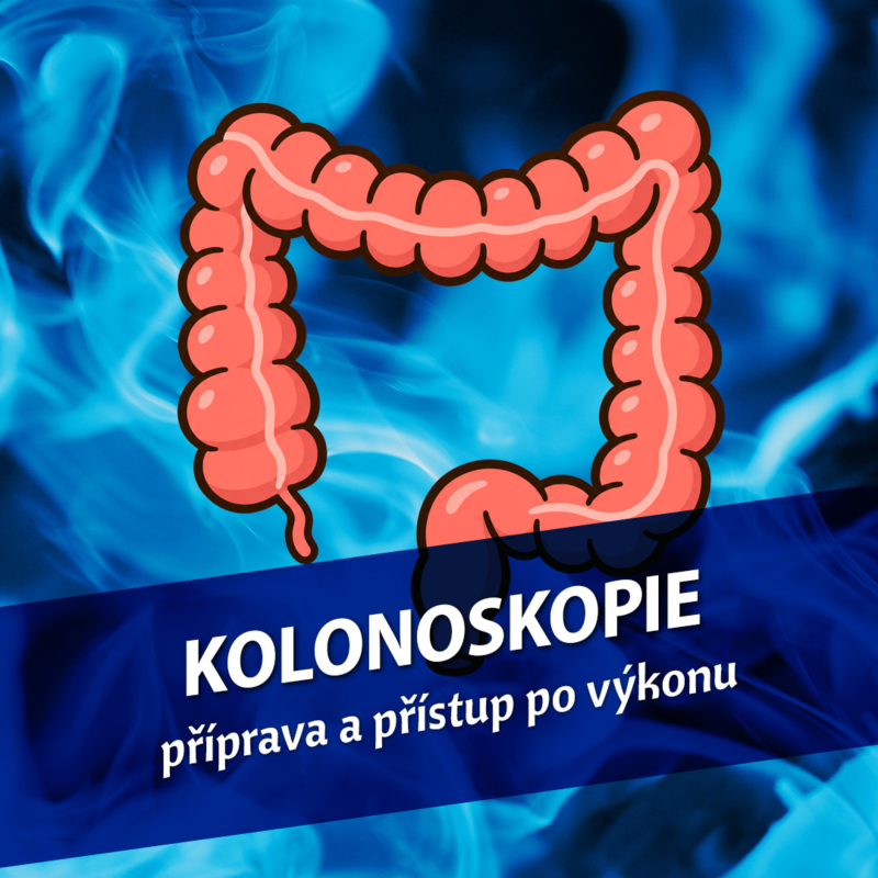Obrázek epizody Kolonoskopie - příprava a přístup po výkonu