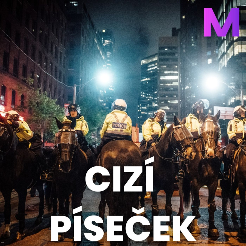 Obrázek epizody Německo v posledních letech šokovaly případy pravicového extrémismu, pomáhají mu krize i pevné podhoubí